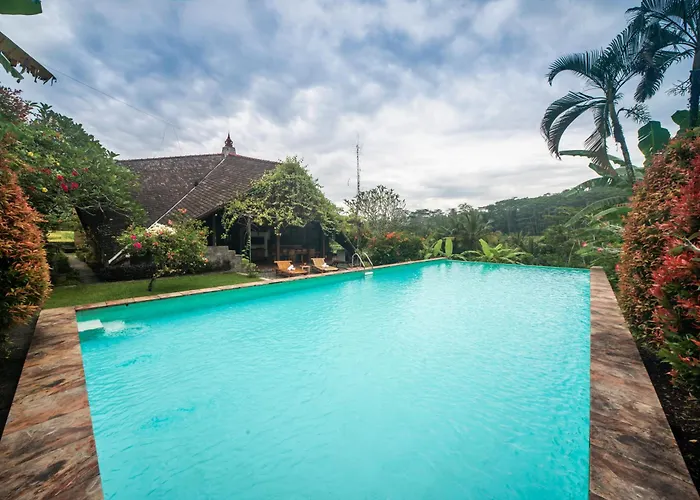 Dandan Bukit * Payangan
